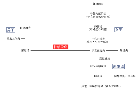 性感染症03